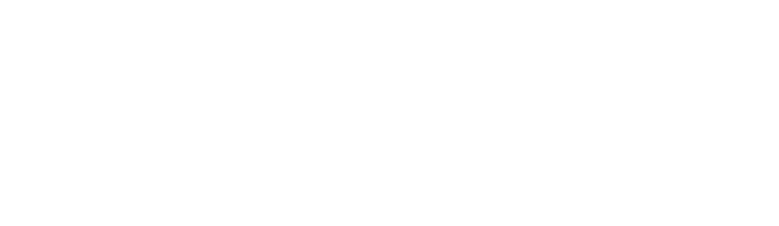 William Raveis Real Estate — Winner, Top Luxury Brokerage